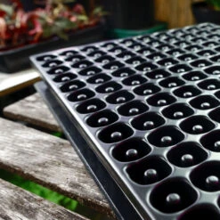 Meyer Uttryckare Till 150 Celler -Garden Supplies Sales 2024 150 cell uttryckare i pluggbratte