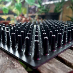 Meyer Uttryckare Till 150 Celler -Garden Supplies Sales 2024 150 cell uttryckare piggar