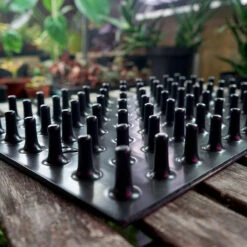 Meyer Uttryckare Till 77 Celler -Garden Supplies Sales 2024 77 cell uttryckare piggar