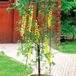 Gazebo Parts Direct Sales Store -Garden Supplies Sales 2024 alpgullregn pendulum