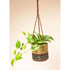 Ampelkruka Artisan - Cylinder, Medium 8 Ampelkruka Artisan - Cylinder, Medium -Garden Supplies Sales 2024 ampelkruka artisan cylinder medium 1