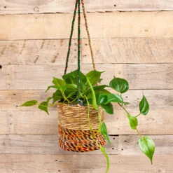 Ampelkruka Artisan - Cylinder, Small