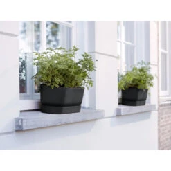 Elho Blomlåda Greenville 70 Cm, Svart -Garden Supplies Sales 2024 blomlada greenville 70 cm svart fonsterbrada