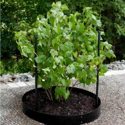 Buskstöd Delta Justerbart, Svart