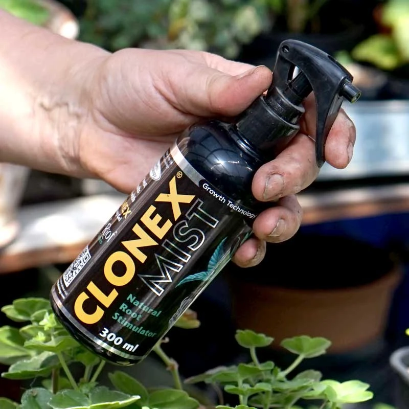 Clonex Mist, 300ml 5 Clonex Mist, 300ml - Image 3