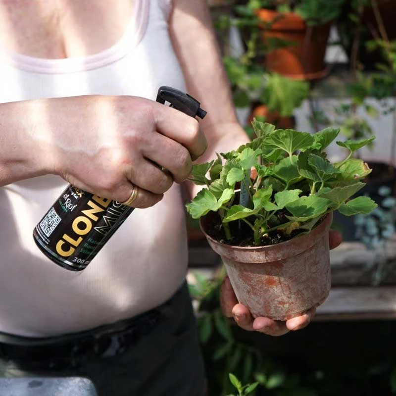 Clonex Mist, 300ml 6 Clonex Mist, 300ml - Image 4