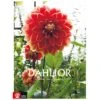 Dahlior -Garden Supplies Sales 2024 dahlior tradgardsbok