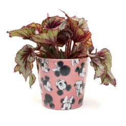 Eco Bambukruka 3-set Mickey, Rosa -Garden Supplies Sales 2024 eco bambukruka 3 set mickey rosa blomma