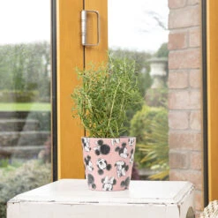 Eco Bambukruka 3-set Mickey, Färgmix -Garden Supplies Sales 2024 eco bambukruka 3 set mickey rosa disney