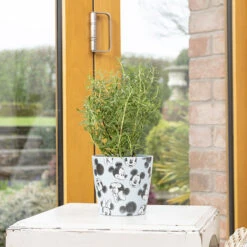 Eco Bambukruka 3-set Mickey, Färgmix -Garden Supplies Sales 2024 eco bambukruka mickey bla 1