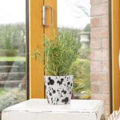 Eco Bambukruka 3-set Mickey, Färgmix -Garden Supplies Sales 2024 eco bambukruka mickey gra 1