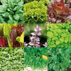 Frömix Bladgrönsaker För Inomhusodling