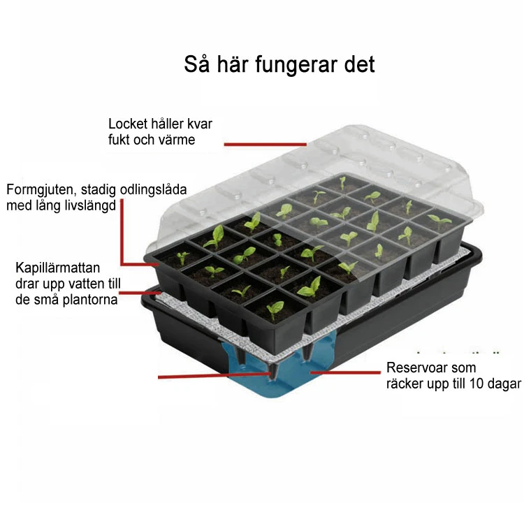 Seed Success Miniväxthus Med Bevattning, 24 Celler 4 Seed Success Miniväxthus Med Bevattning, 24 Celler - Image 2