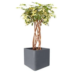 Elho Kruka Pure Soft Brick Med Hjul 39x39 Cm, Grå -Garden Supplies Sales 2024 fyrkantig kruka pure soft brick gra trad