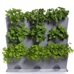 Minigarden Vertical Växtvägg, Svart -Garden Supplies Sales 2024 gra vaxtvagg planterad med kryddvaxter 1