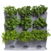 Minigarden Vertical Växtvägg, Grå 2 Minigarden Vertical Växtvägg, Grå -Garden Supplies Sales 2024 gra vaxtvagg planterad med kryddvaxter