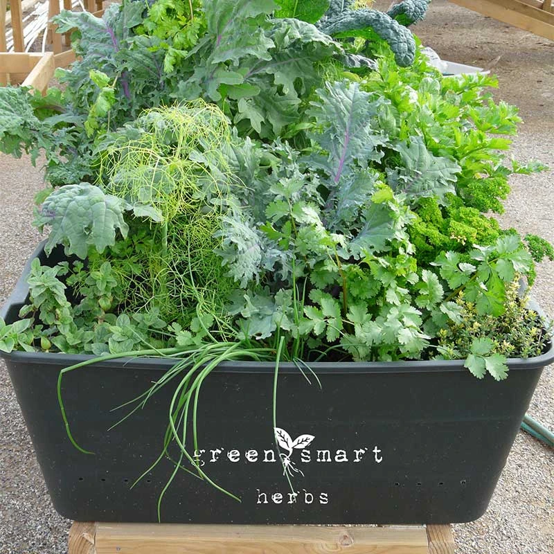 Självvattnande Odlingsbalja, Anthracite 4 Självvattnande Odlingsbalja, Anthracite - Image 2