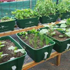 Självvattnande Odlingsbalja, Forest Green -Garden Supplies Sales 2024 greensmart odlingsbalja gron miljobild