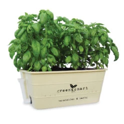 Självvattnande Odlingsbalja, Vintage Cream 12 Självvattnande Odlingsbalja, Vintage Cream -Garden Supplies Sales 2024 greensmart odlingsbalja vintage cream basilika