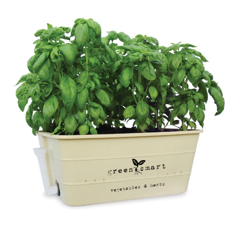 Självvattnande Odlingsbalja, Vintage Cream 6 Självvattnande Odlingsbalja, Vintage Cream - Image 4