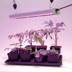 Växtbelysning Quattro 35W 8 Växtbelysning Quattro 35W -Garden Supplies Sales 2024 grow light quattro vaxtbelysning 35 w