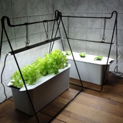 Hydroponisk Odlingslåda Harvy 3, Vit, Startpaket -Garden Supplies Sales 2024 harvy 3 sallt basilika wh