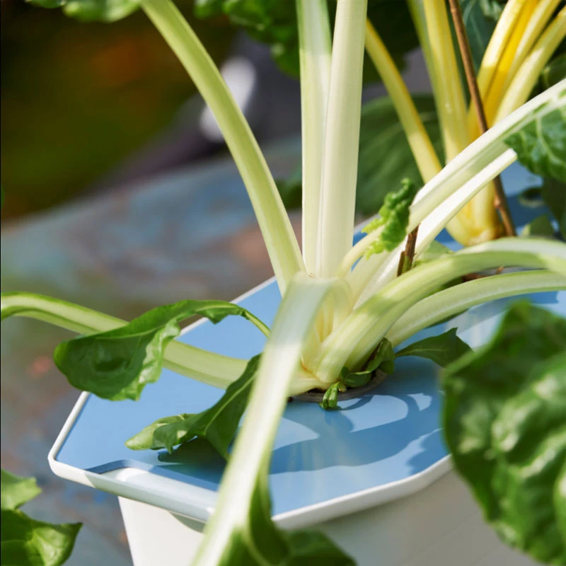 Hydroponiskt Odlingssystem Harvy, Startpaket Blått 5 Hydroponiskt Odlingssystem Harvy, Startpaket Blått - Image 3