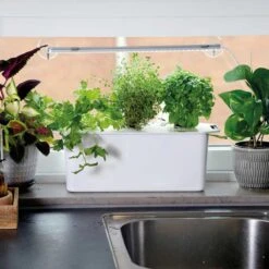 Hydroponisk Odlingslåda Harvy 3, Vit, Startpaket -Garden Supplies Sales 2024 hydroponisk odlingslada harvy 3 i kok