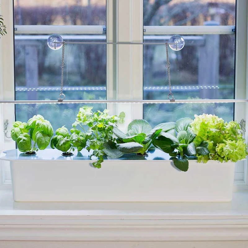 Hydroponiskt Odlingssystem Harvy, Startpaket Blått 4 Hydroponiskt Odlingssystem Harvy, Startpaket Blått - Image 2