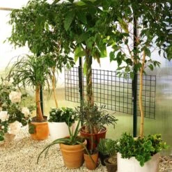 Fällbar Växthushylla 7 Fällbar Växthushylla -Garden Supplies Sales 2024 hylla till vaxthus nerfallningsbar bruno