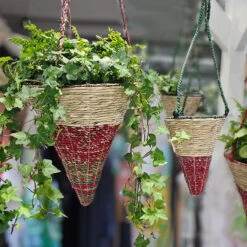 Ampelkruka Artisan - Cone, Small 9 Ampelkruka Artisan - Cone, Small -Garden Supplies Sales 2024 konformade ampelkrukor artisan 1