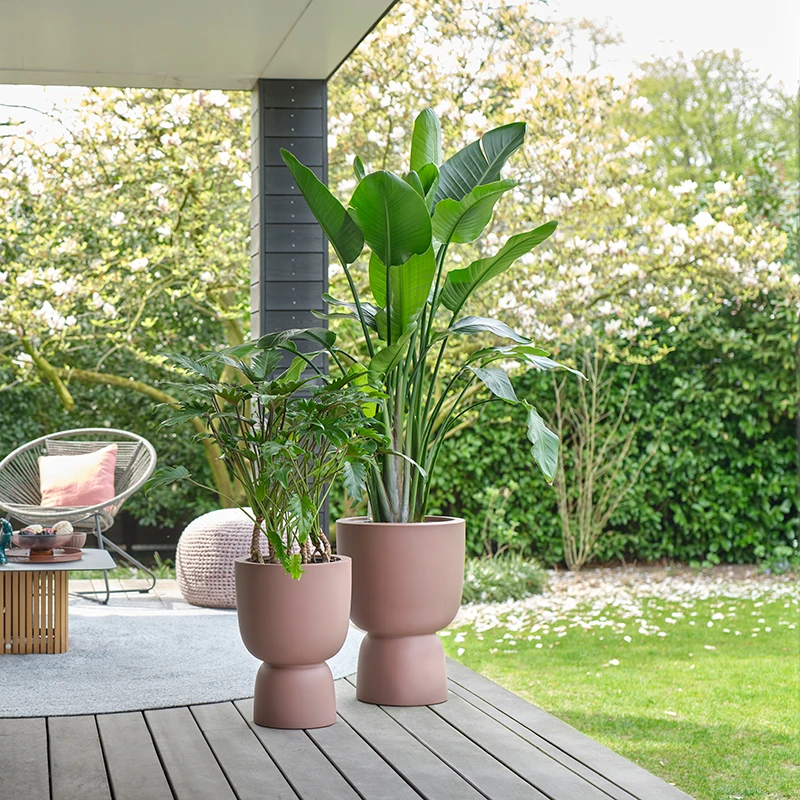 Elho Kruka Pure Coupe 41 Cm, Rosabrun 6 Elho Kruka Pure Coupe 41 Cm, Rosabrun - Image 4