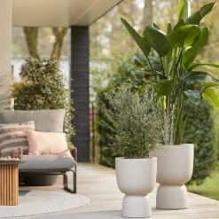 Elho Kruka Pure Coupe 35 Cm, Beige -Garden Supplies Sales 2024 kruka Pure coupe miljobild