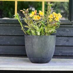 Kruka Bola 38 Cm, Svart 5 Kruka Bola 38 Cm, Svart -Garden Supplies Sales 2024 kruka bola 38 cm svart blomma