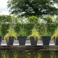 Kruka Ella 35 Cm, Svart 7 Kruka Ella 35 Cm, Svart -Garden Supplies Sales 2024 kruka ella 35 cm svart miljobild