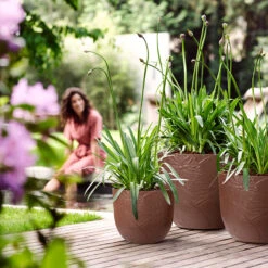 Elho Kruka Fuente Lily 30 Cm, Rostbrun 10 Elho Kruka Fuente Lily 30 Cm, Rostbrun -Garden Supplies Sales 2024 kruka fuente lily rostbrun 1