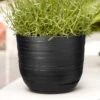 Elho Kruka Fuente Rings 30 Cm, Svart -Garden Supplies Sales 2024 kruka fuente ring 30 cm svart