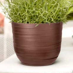 Elho Kruka Fuente Rings 30 Cm, Rostbrun