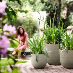 Elho Kruka Fuente Rings 30 Cm, Stengrå -Garden Supplies Sales 2024 kruka fuente rings kollektion stengra