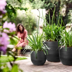 Elho Kruka Fuente Rings 30 Cm, Svart -Garden Supplies Sales 2024 kruka fuente rings kollektion svart