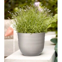 Elho Kruka Fuente Rings 30 Cm, Stengrå -Garden Supplies Sales 2024 kruka fuente rings stengra