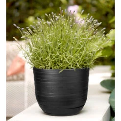 Elho Kruka Fuente Rings 30 Cm, Svart -Garden Supplies Sales 2024 kruka fuente rings svart