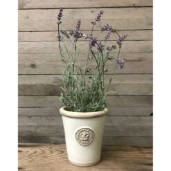 Hög Kruka Kew Garden, Ivory Large -Garden Supplies Sales 2024 kruka kew garden long tom ivory color 1