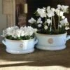 Kruka Med Handtag Kew Garden, Duck Egg Small -Garden Supplies Sales 2024 kruka kew garden low bowl duck egg color 1