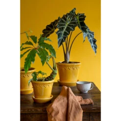 Bergs Potter Kruka Köpenhamn 14 Cm, Gul -Garden Supplies Sales 2024 kruka kopenhamn gul