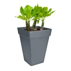 Elho Kruka Loft Urban Kvadratisk 37 Cm, Antracit -Garden Supplies Sales 2024 kruka loft urban kvadratisk 37 cm antracit blomma