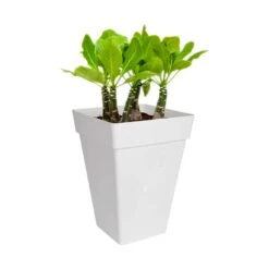 Elho Kruka Loft Urban Kvadratisk 37 Cm, Vit -Garden Supplies Sales 2024 kruka loft urban kvadratisk 37 cm vit blommor