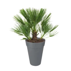 Gazebo Parts Direct Sales Store -Garden Supplies Sales 2024 kruka loft urban rund hog 28 cm antracit trad