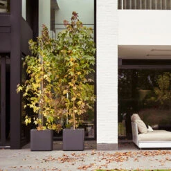 Elho Kruka Pure Soft Brick Med Hjul 39x39 Cm, Grå -Garden Supplies Sales 2024 kruka pure soft brick gra uteplats