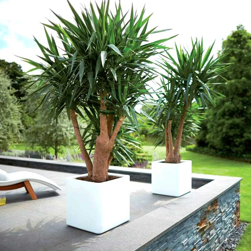 Elho Kruka Pure Soft Brick Med Hjul 39x39 Cm, Vit 4 Elho Kruka Pure Soft Brick Med Hjul 39x39 Cm, Vit - Image 2